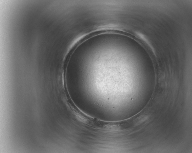 X0000063481320200602031915