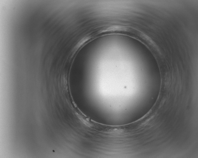 X0000063481321200602031915