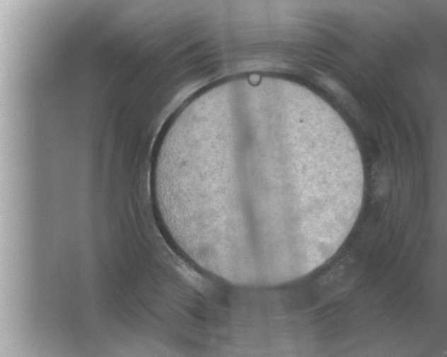 X0000063481322200602031915