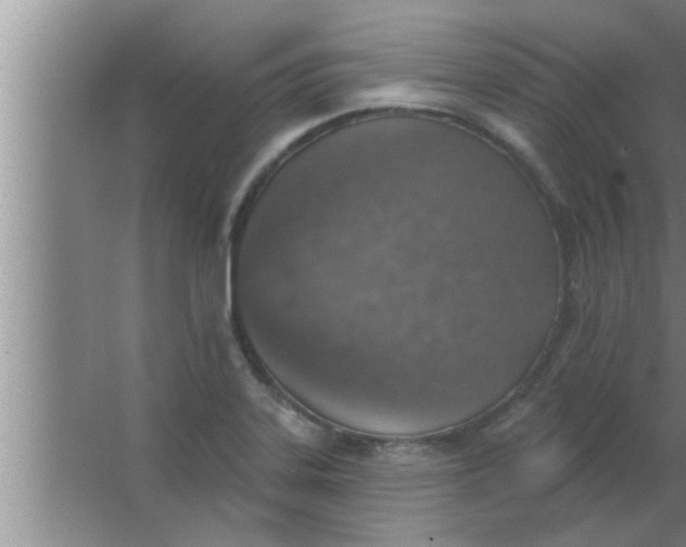 X0000063481323200602031915