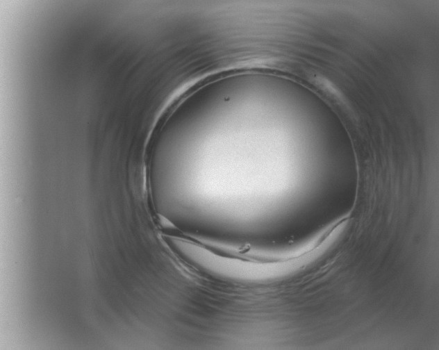 X0000063481324200602031915