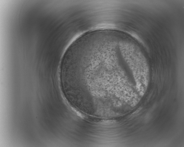 X0000063481325200602031915