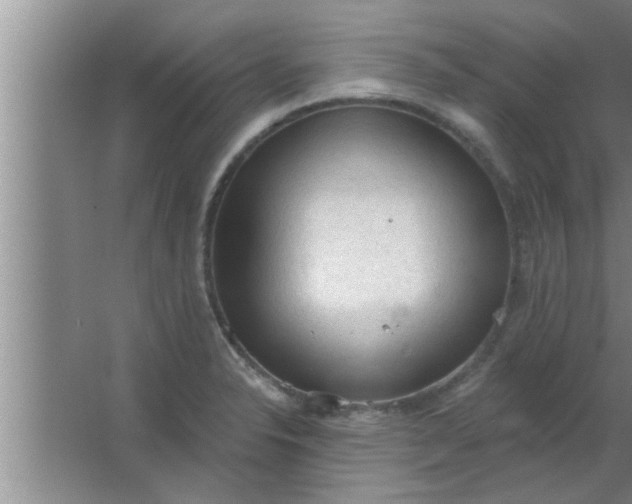 X0000063481326200602031915