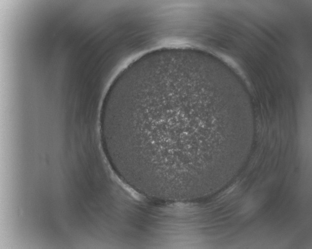 X0000063481327200602031915