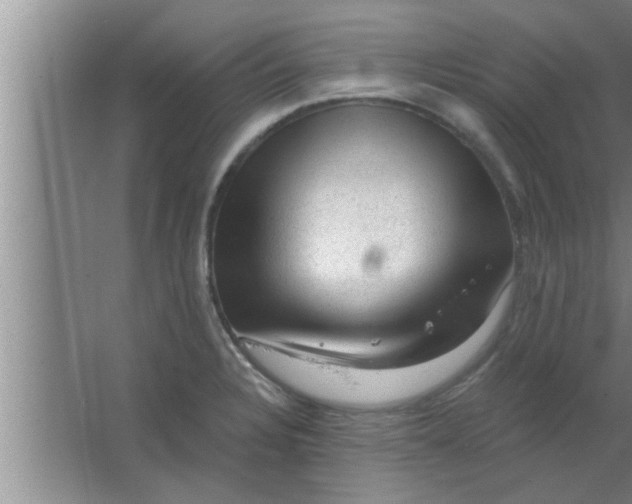 X0000063481328200602031915