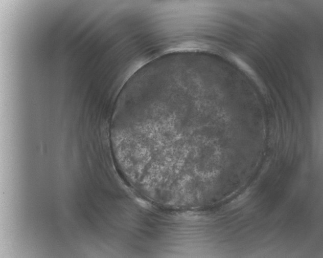 X0000063481329200602031915