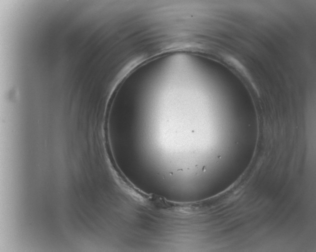 X0000063481330200602031916