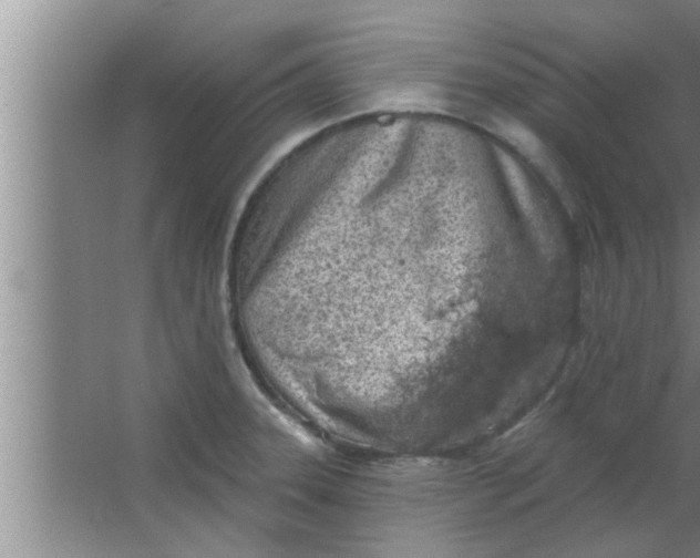 X0000063481331200602031916