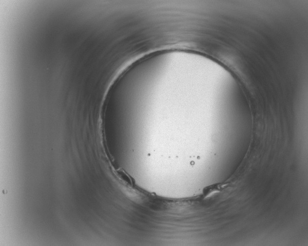 X0000063481332200602031916