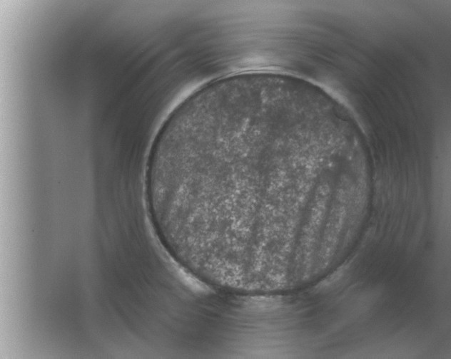 X0000063481333200602031916