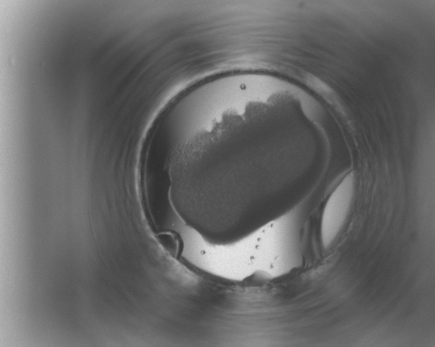 X0000063481334200602031916