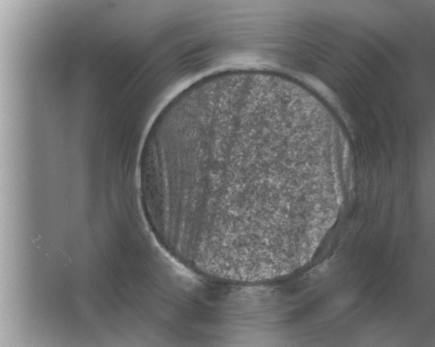 X0000063481335200602031916