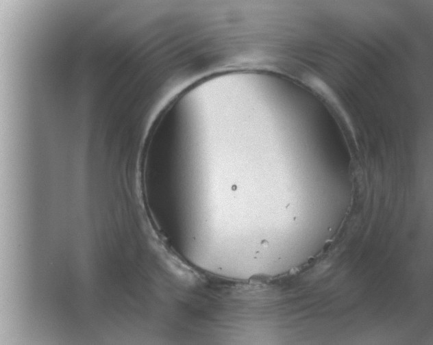 X0000063481336200602031916