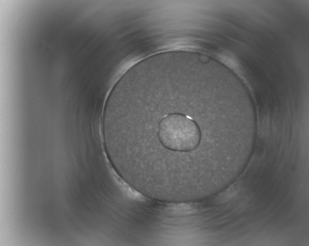 X0000063481338200602031916