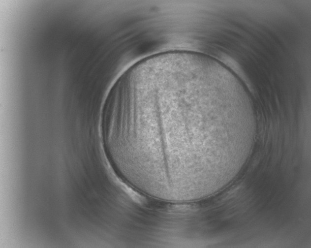 X0000063481339200602031916