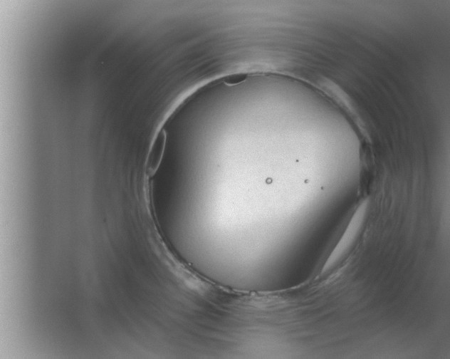 X0000063481340200602031916