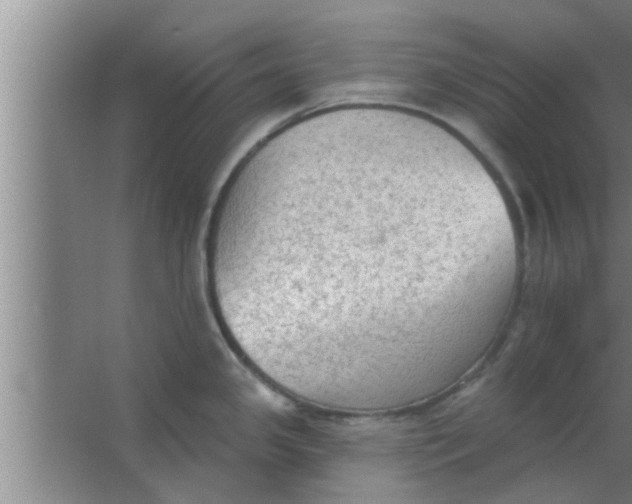 X0000063481341200602031916