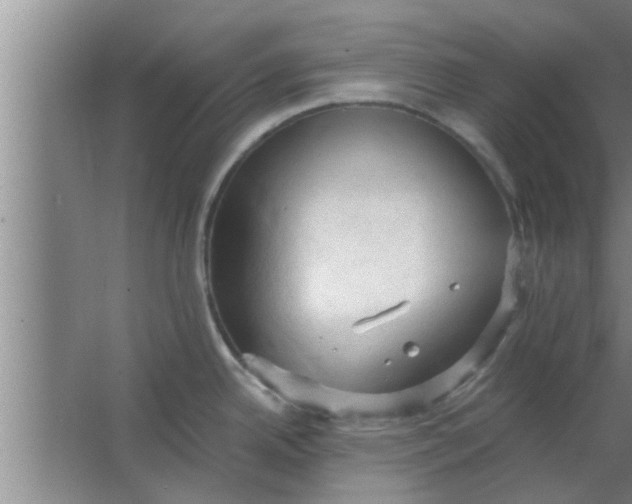 X0000063481342200602031916