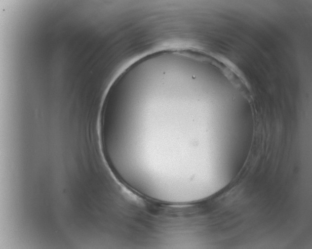 X0000063481343200602031916