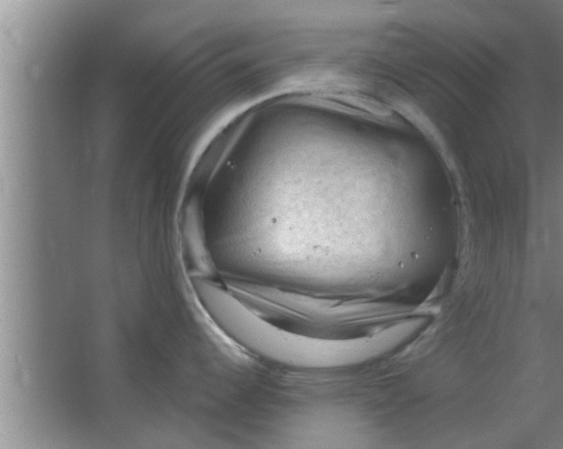 X0000063481344200602031916