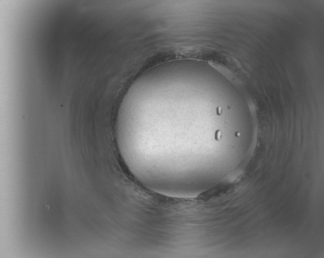 X0000063481345200602031915