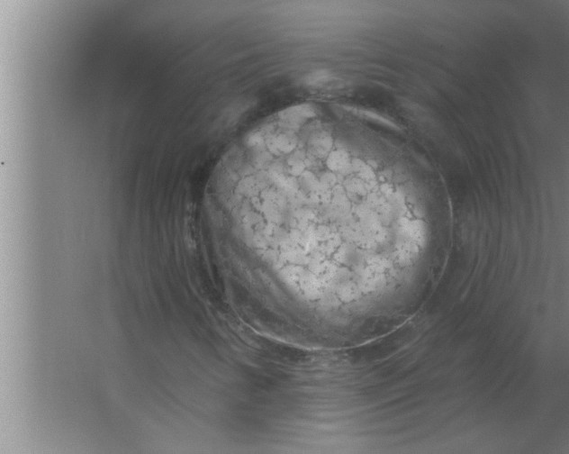 X0000063481346200602031915