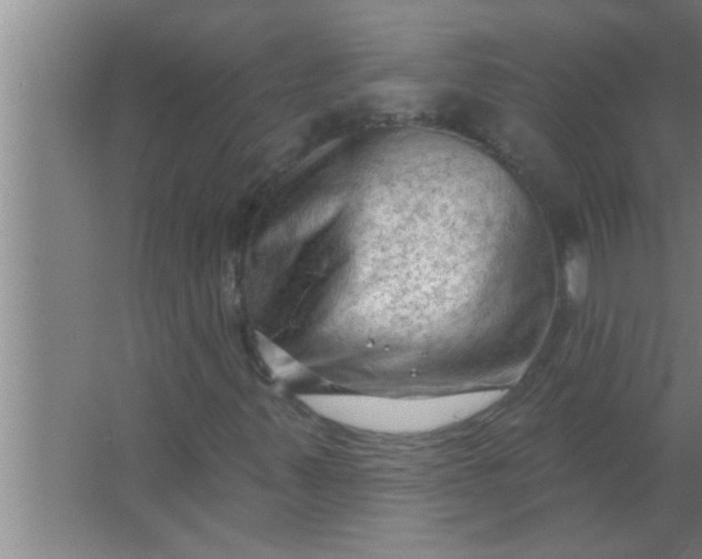 X0000063481347200602031915