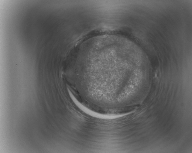 X0000063481348200602031915