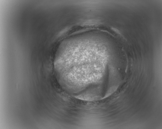 X0000063481350200602031915