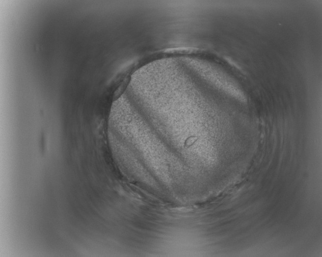 X0000063481351200602031915