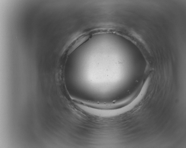 X0000063481352200602031915