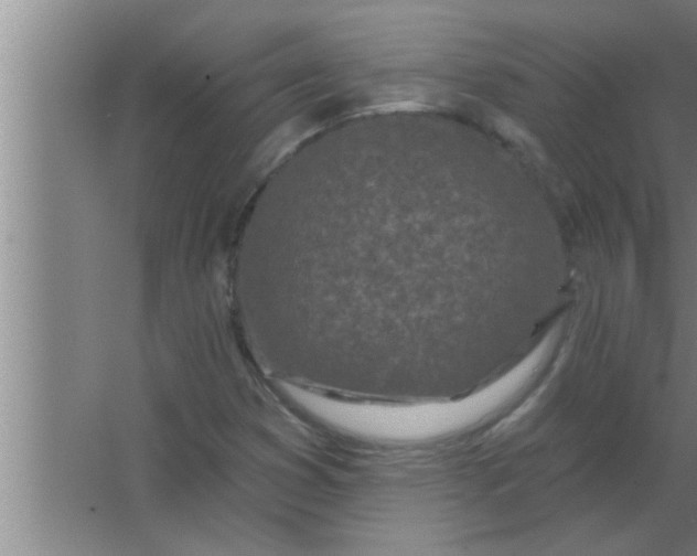 X0000063481353200602031915