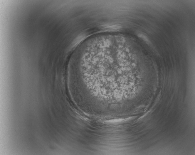 X0000063481354200602031915