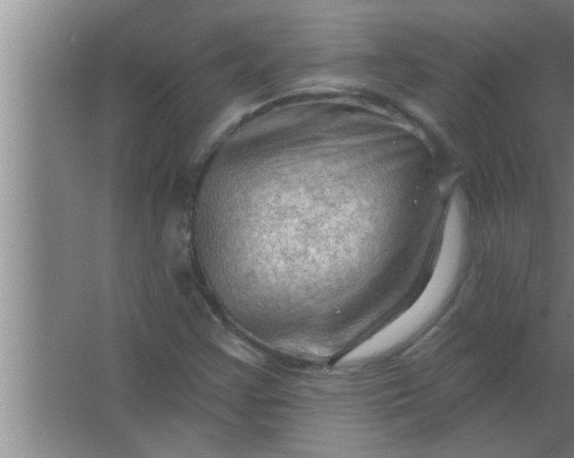 X0000063481355200602031915