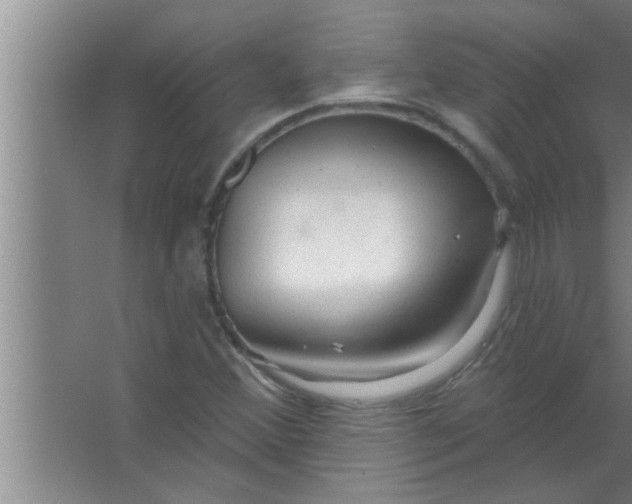 X0000063481356200602031915