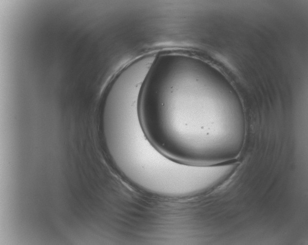 X0000063481357200602031915