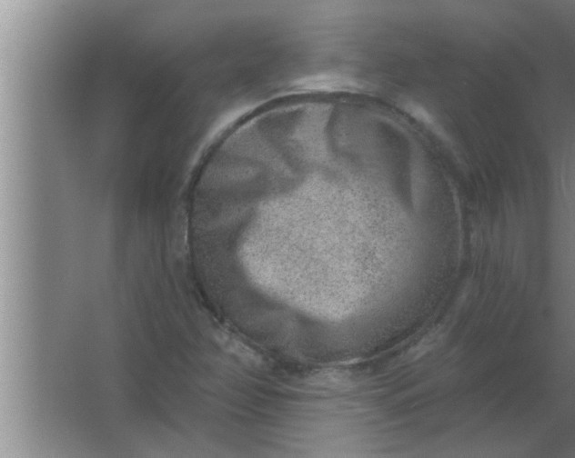 X0000063481358200602031915