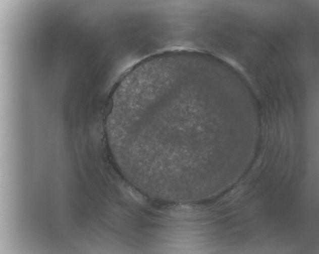 X0000063481359200602031915