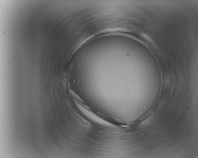 X0000063481361200602031915