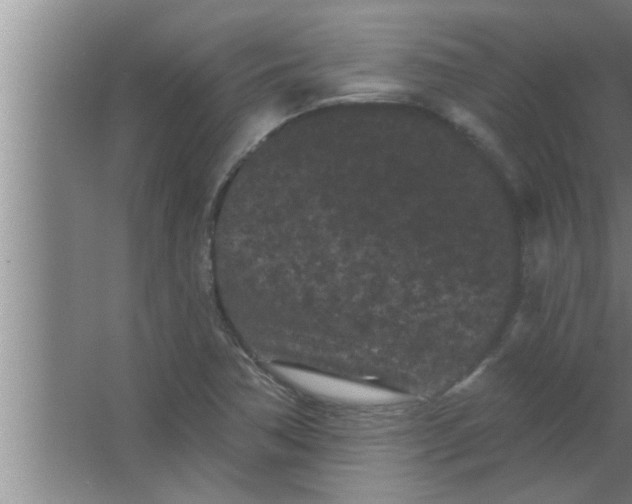 X0000063481362200602031915