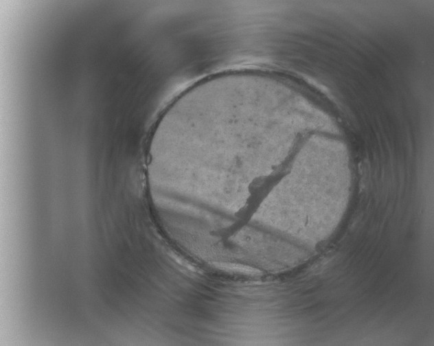 X0000063481363200602031915