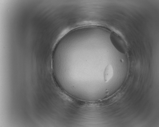 X0000063481365200602031915