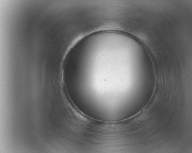 X0000063481366200602031915