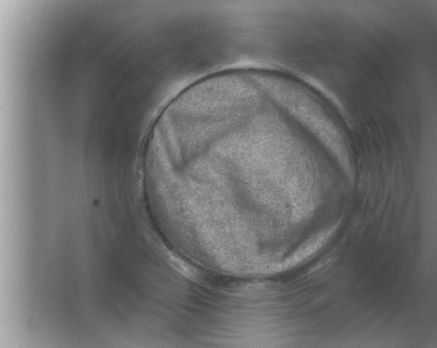 X0000063481367200602031915