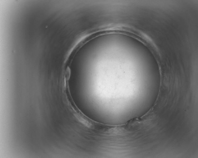 X0000063481368200602031915