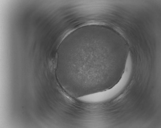 X0000063481369200602031915