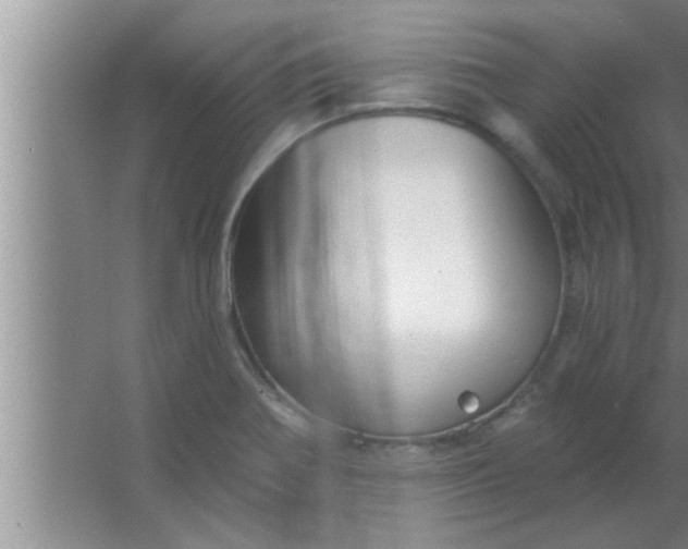 X0000063481370200602031915