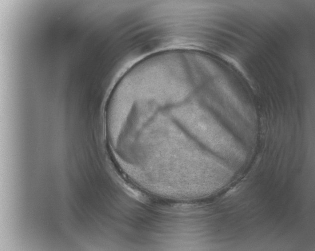 X0000063481371200602031914