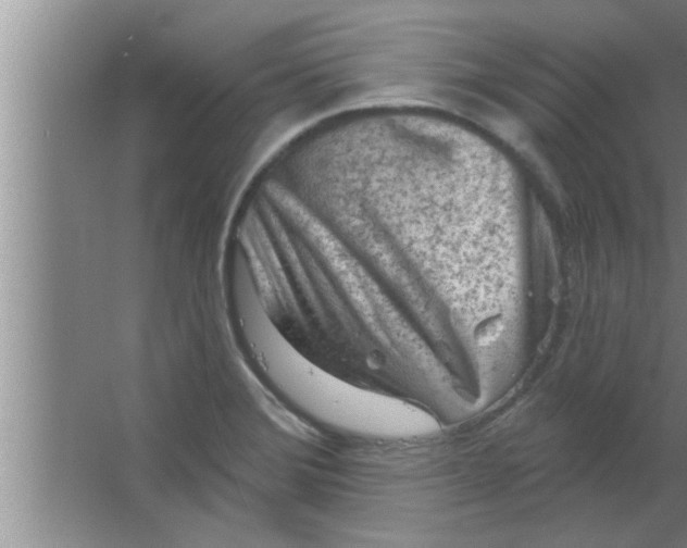 X0000063481372200602031914