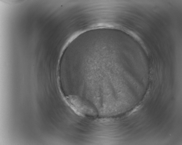 X0000063481373200602031914